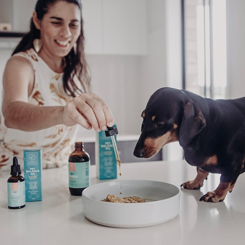 Hemp Pet Balance Oil (Hemp Seed & Chia Oil)