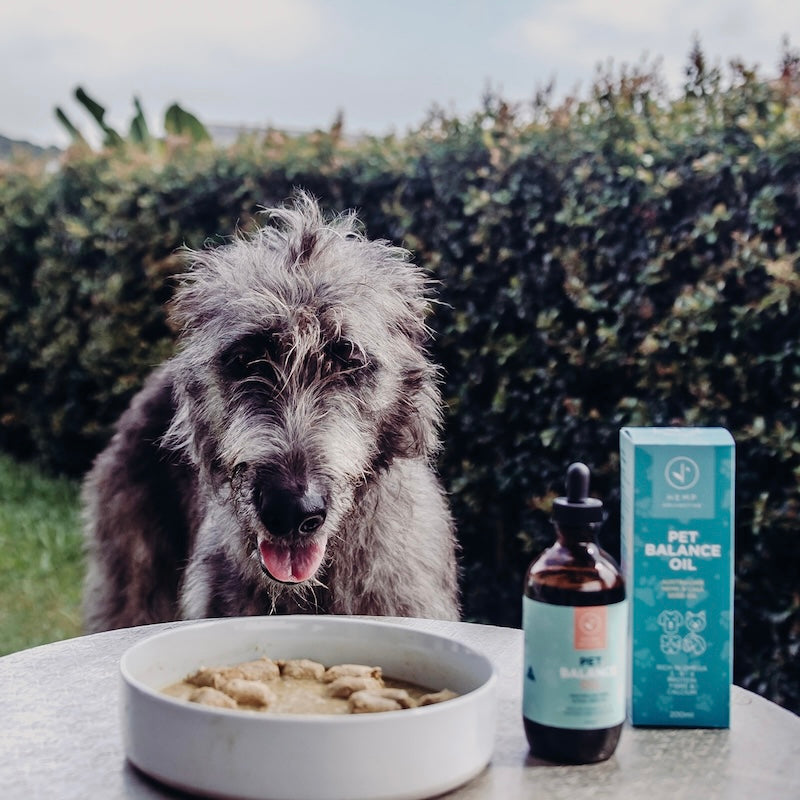 Hemp Pet Balance Oil (Hemp Seed & Chia Oil)