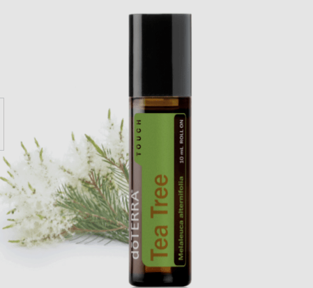 Essential Oil Tea Tree Roller doTERRA General Doterra 