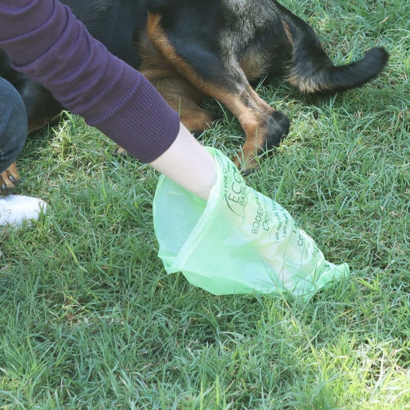 Bags Biodegradable Doggy 8 Pack General Eco Basics 