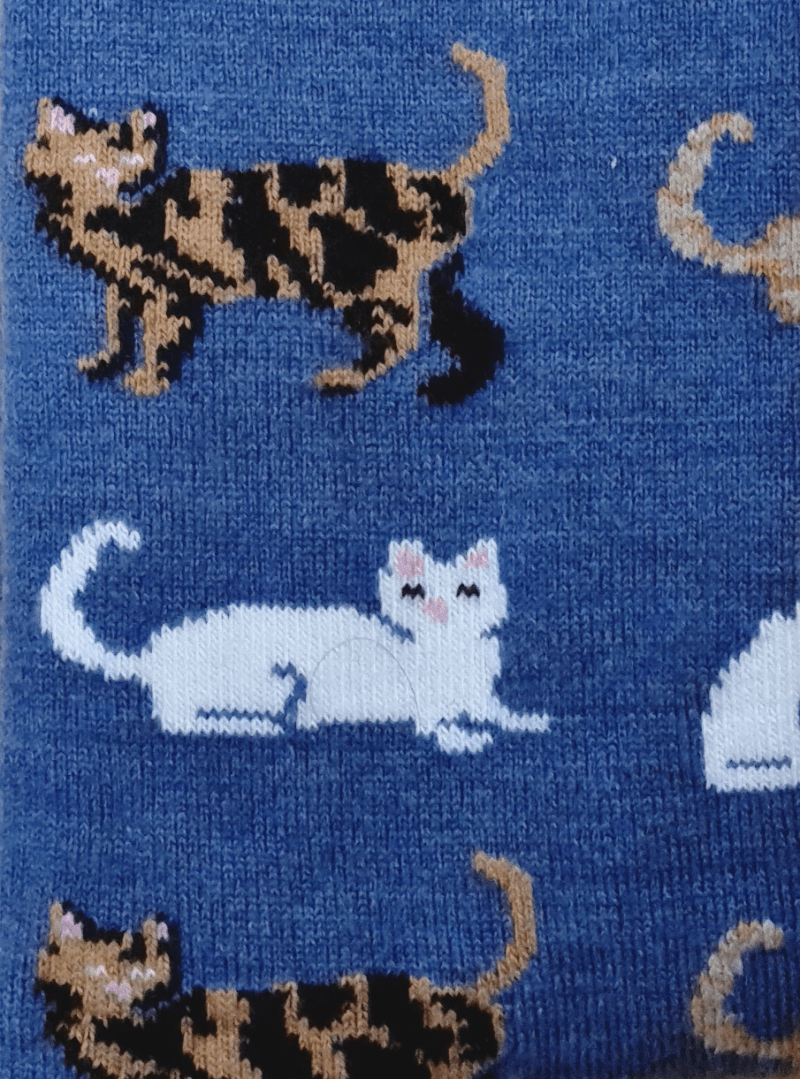 Close up Australian made merino wool blue socks with cat design