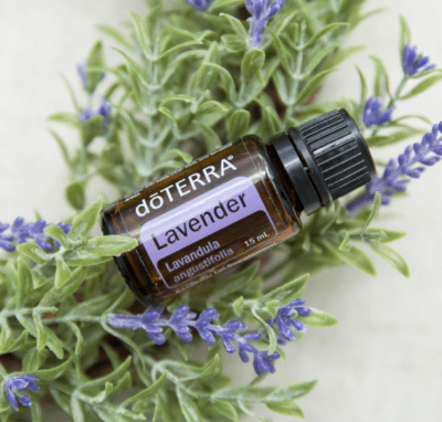 Lavender Essential Oil doTERRA 15ml – Earth to Life